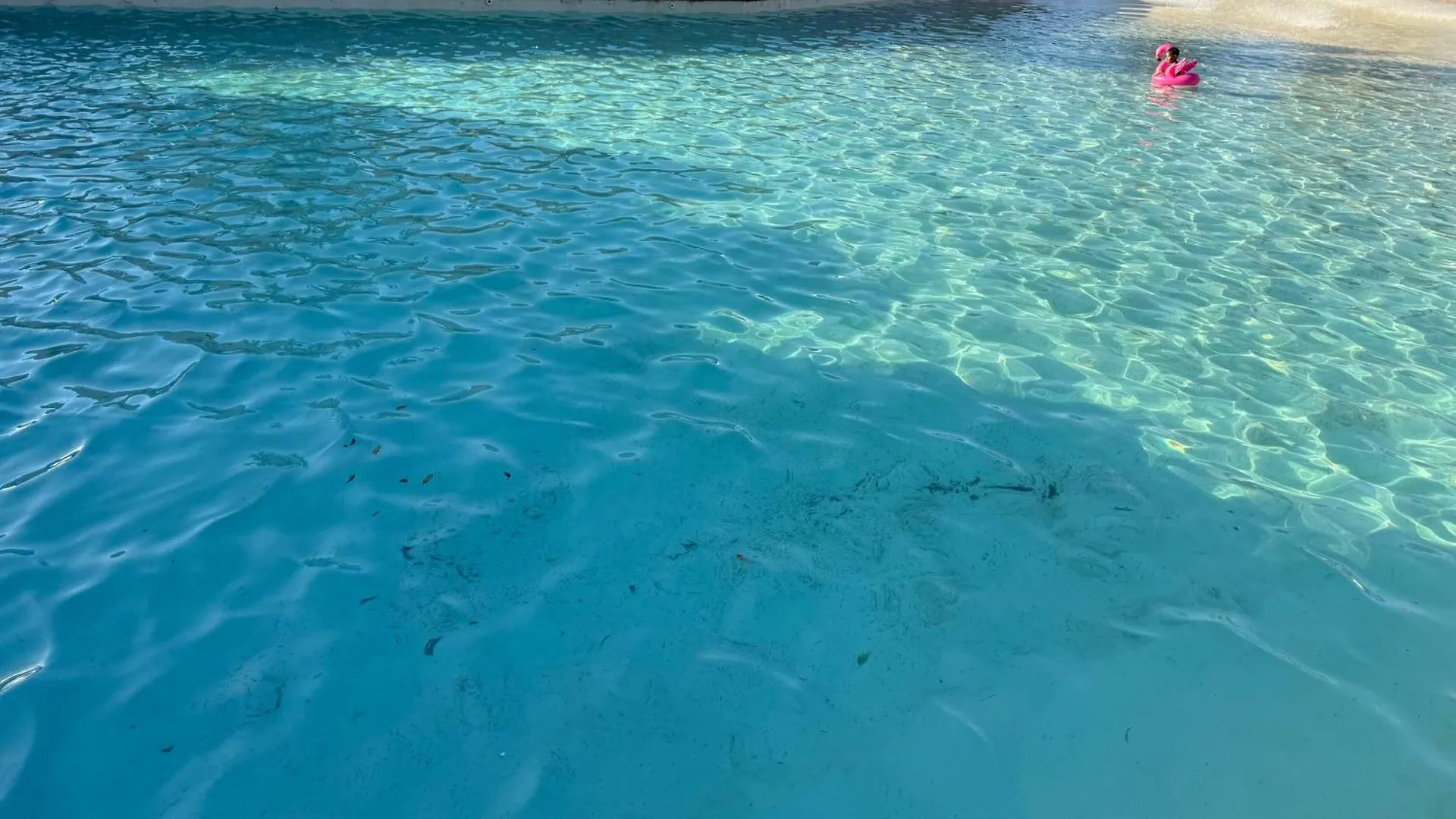 Acquaville Flat E Parque Aquatico 카우다스노바스